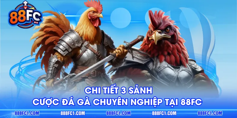 Chi tiết 3 sảnh cược đá gà chuyên nghiệp tại 88FC